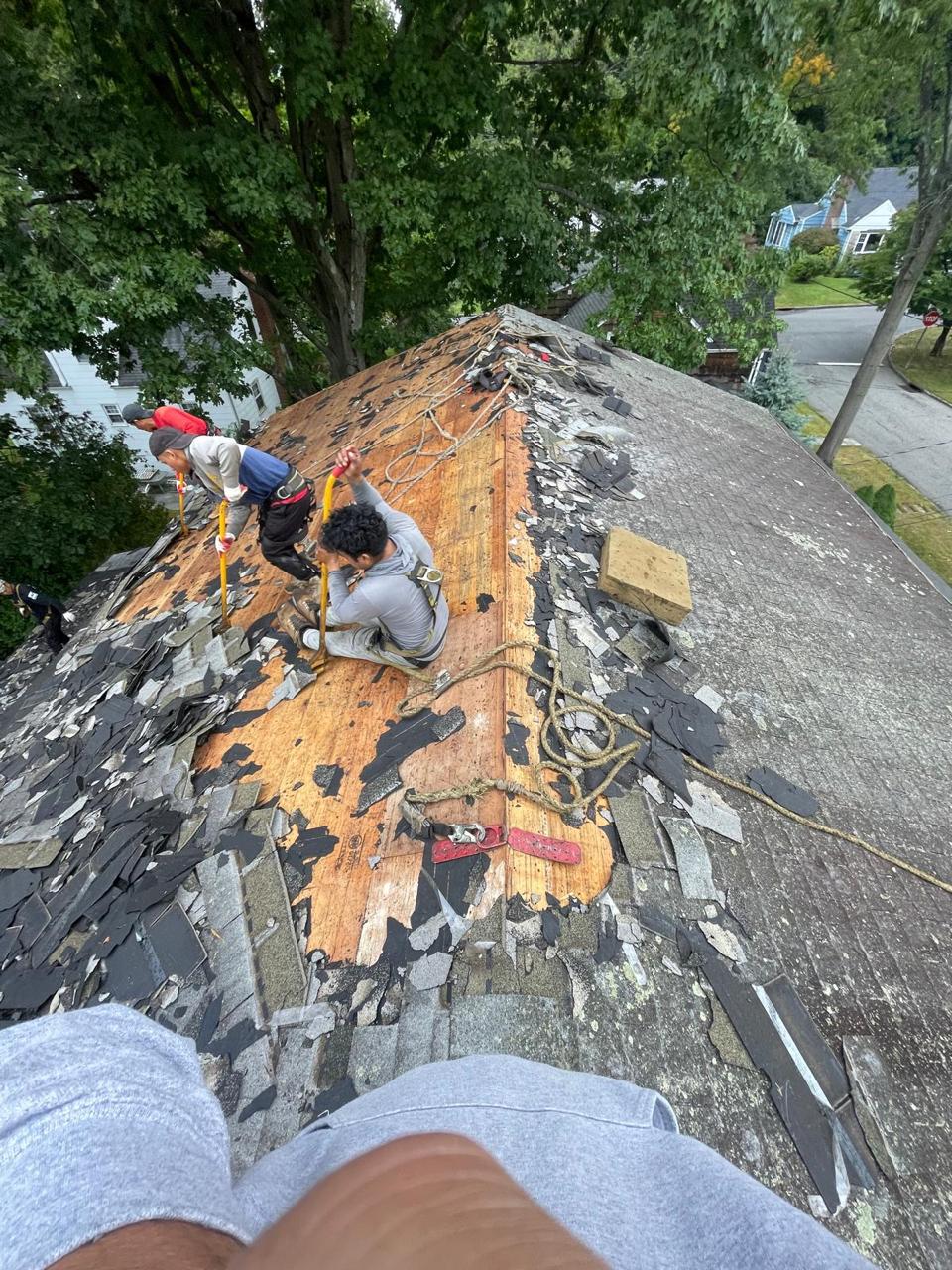 Roof Repair Service Project Shot 10